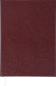 Щоденник недатований  STRONG, A5, 288стр. коричневий BM.2022-25 Buromax
