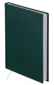 Щоденник недатований  STRONG, A5, 288стр. зелений BM.2022-04 Buromax